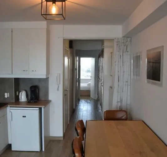 Residentie Les Algues 8ste Verdieping *